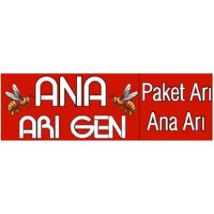 Ana Arı Gen